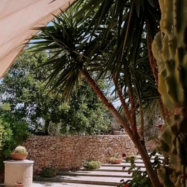 Masseria Agriturismo Il Sorriso Degli Ulivi - Dimora Di Charme Gallipoli Bagian luar foto