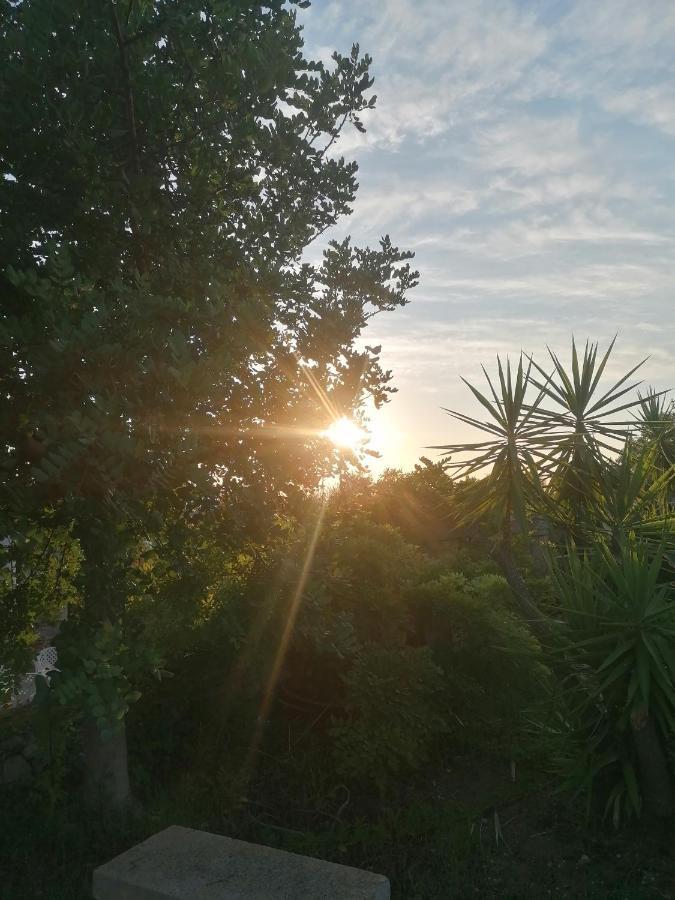 Masseria Agriturismo Il Sorriso Degli Ulivi - Dimora Di Charme Gallipoli Bagian luar foto