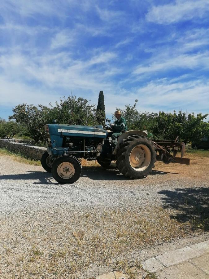 Masseria Agriturismo Il Sorriso Degli Ulivi - Dimora Di Charme Gallipoli Bagian luar foto