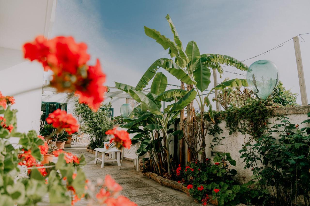 Masseria Agriturismo Il Sorriso Degli Ulivi - Dimora Di Charme Gallipoli Bagian luar foto