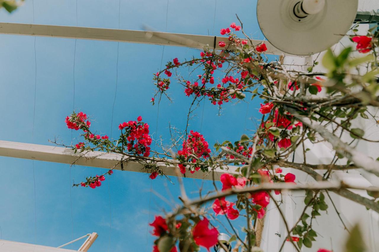Masseria Agriturismo Il Sorriso Degli Ulivi - Dimora Di Charme Gallipoli Bagian luar foto