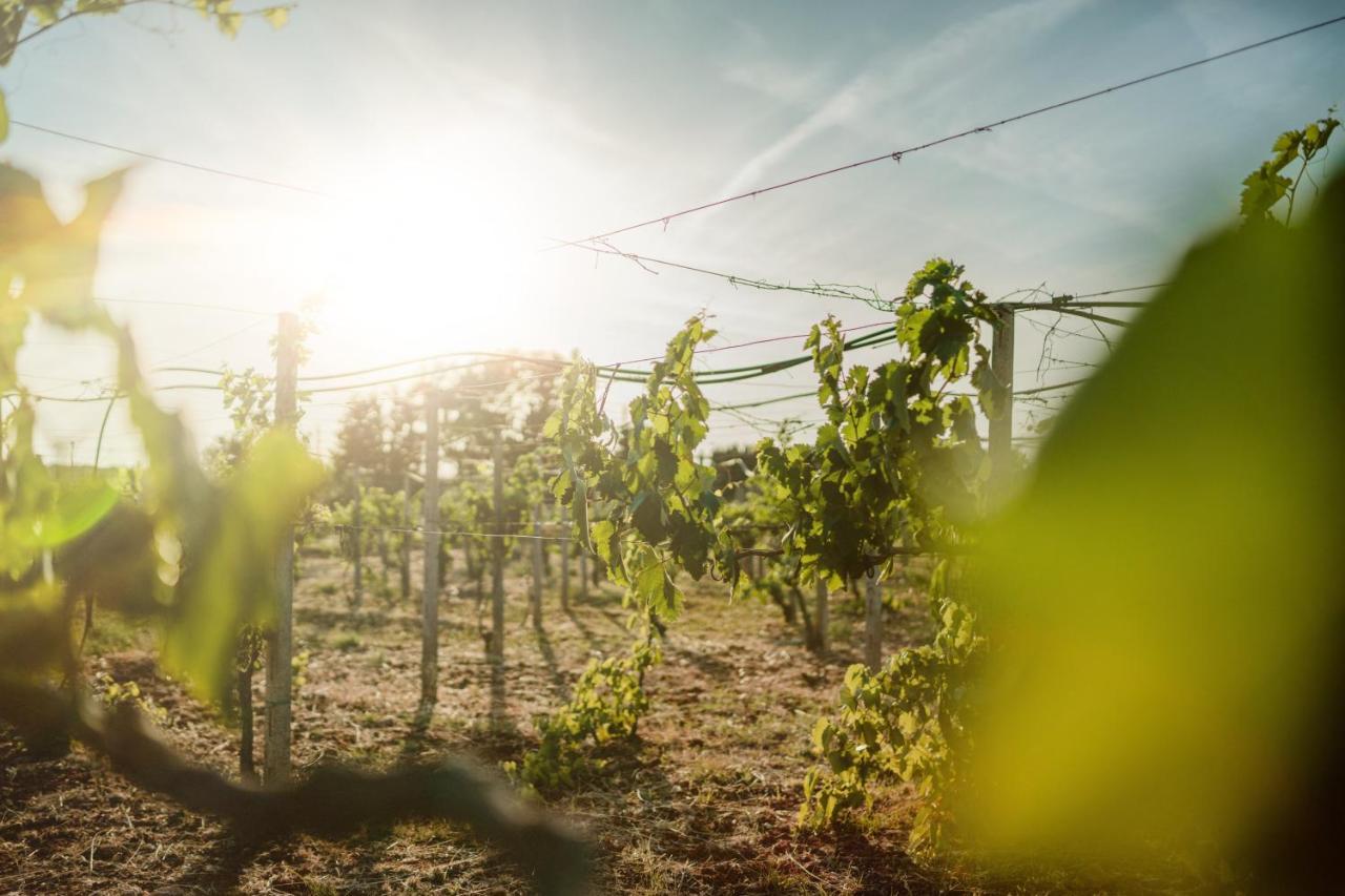 Masseria Agriturismo Il Sorriso Degli Ulivi - Dimora Di Charme Gallipoli Bagian luar foto