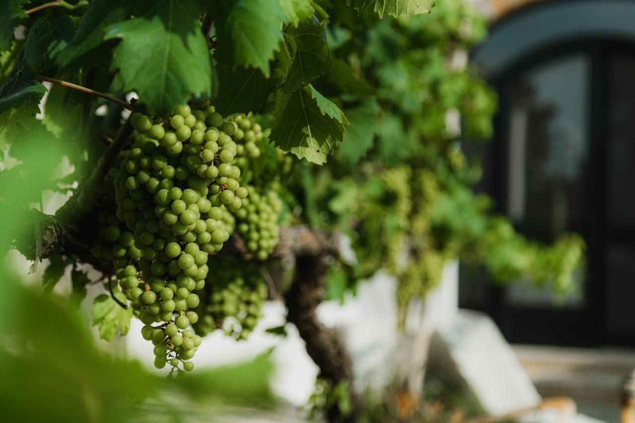 Masseria Agriturismo Il Sorriso Degli Ulivi - Dimora Di Charme Gallipoli Bagian luar foto